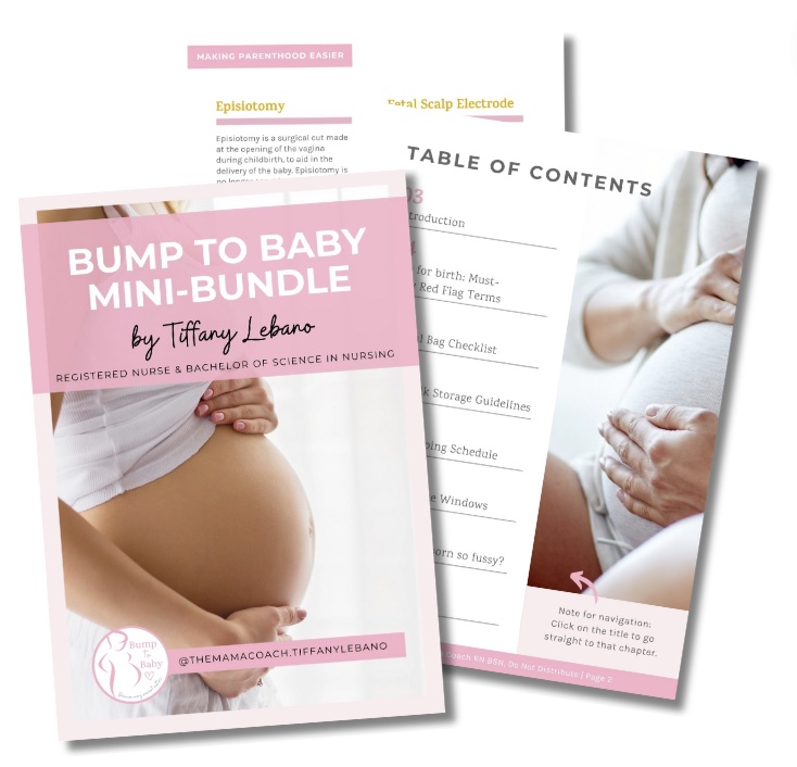 Bump to Baby - mini-bundle by Tiffany Lebano The Mama Coach