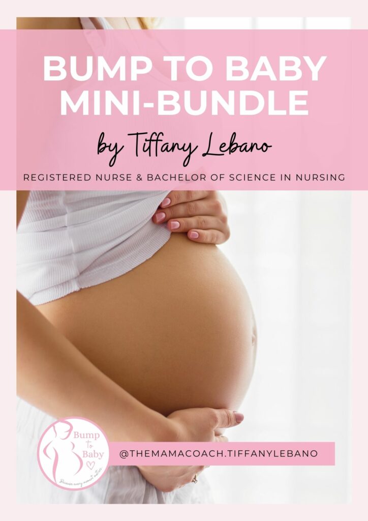 Bump to Baby Mini Bundle by Tiffany Lebano the Mama Coach