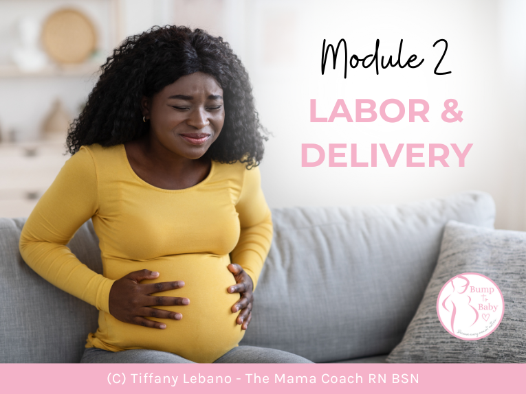 Ready, set, deliver! From contractions to that first cry, In this module you'll be guided through what to expect, and share pain relief strategies that will support you in bringing your little one into the world.