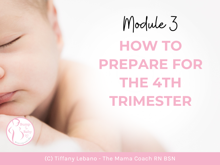 Calm baby and mom confidently navigating the 4th trimester with insights gained from the Bump To Baby Bundle™ program.