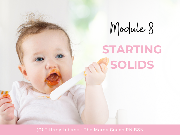 A peek into the Starting Solids module, offering practical guidance for introducing solid foods to your little one from the Bump to Baby Online Course